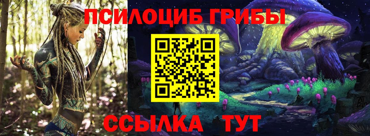 Саратов  Галлюциногенные грибы GOLDEN TEACHER  Вход с VPN 